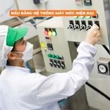  Combo 2 Hủ Tắc Gừng Mật Ong Kèm Quà Tặng 