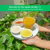  COMBO ẤM AN - Gừng Gió Xuyên Khung + Nghệ Mật Ong Sachi + Kèm Quà Tặng 