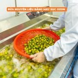  COMBO ÔN LÀNH - Tắc Gừng Mật Ong + Viên Ngậm Gừng Kèm Quà Tặng 