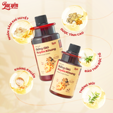  COMBO ẤM AN - Gừng Gió Xuyên Khung + Nghệ Mật Ong Sachi + Kèm Quà Tặng 