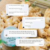  Trà Gừng Gió Lạc Yên Foods 
