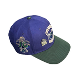  MITCHELL & NESS VINTAGE NBA LOGO CHARLOTTE HORNEST 