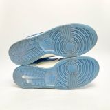  NIKE DUNK LOW COAST DD1503-100 