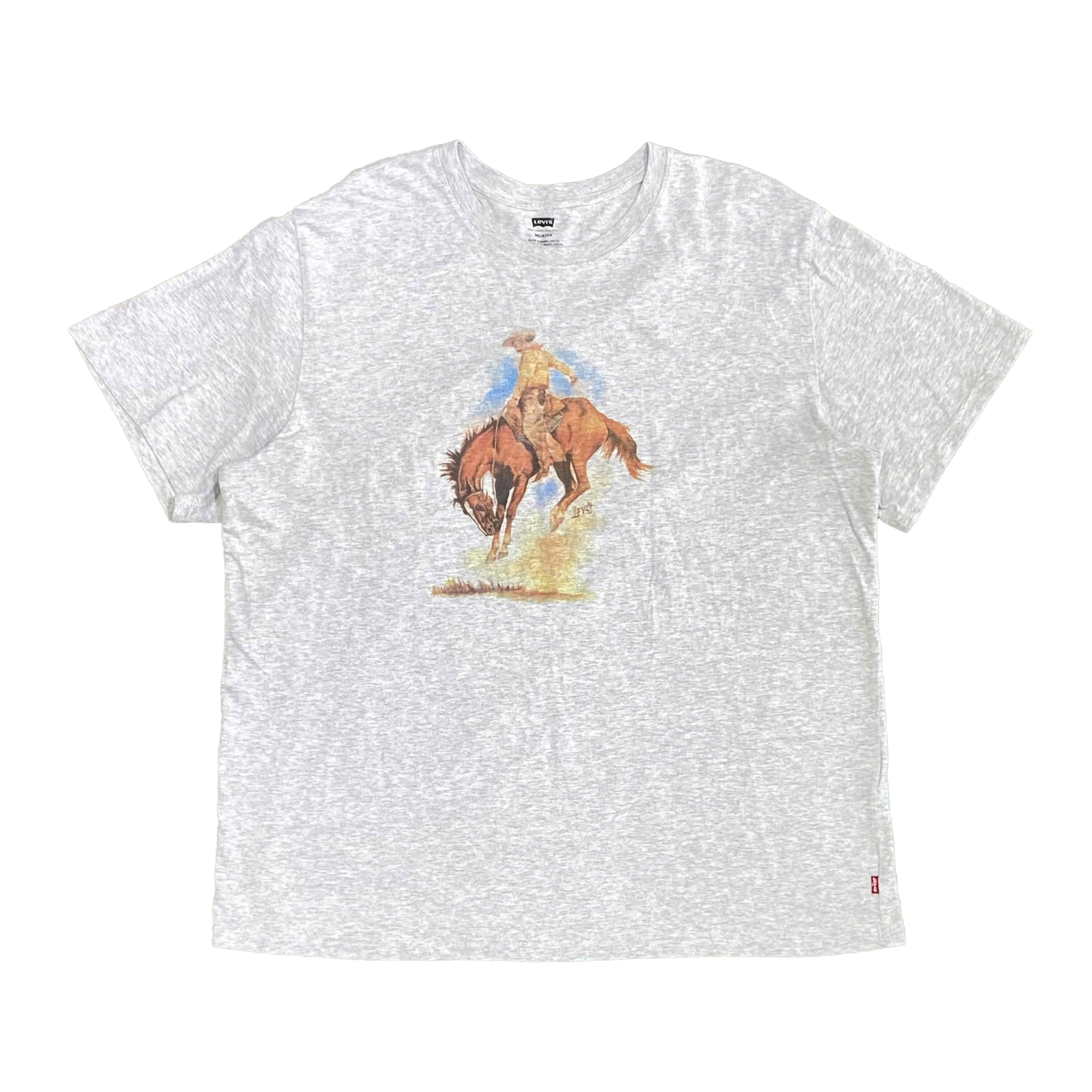  LEVI'S RELAXED SHORT SLEEVE GRAPHIC T-SHIRT 