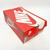  NIKE DUNK LOW COAST DD1503-100 