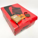  NIKE AIR JORDAN 1 RETRO HIGH OG STARFISH DO9369-101 