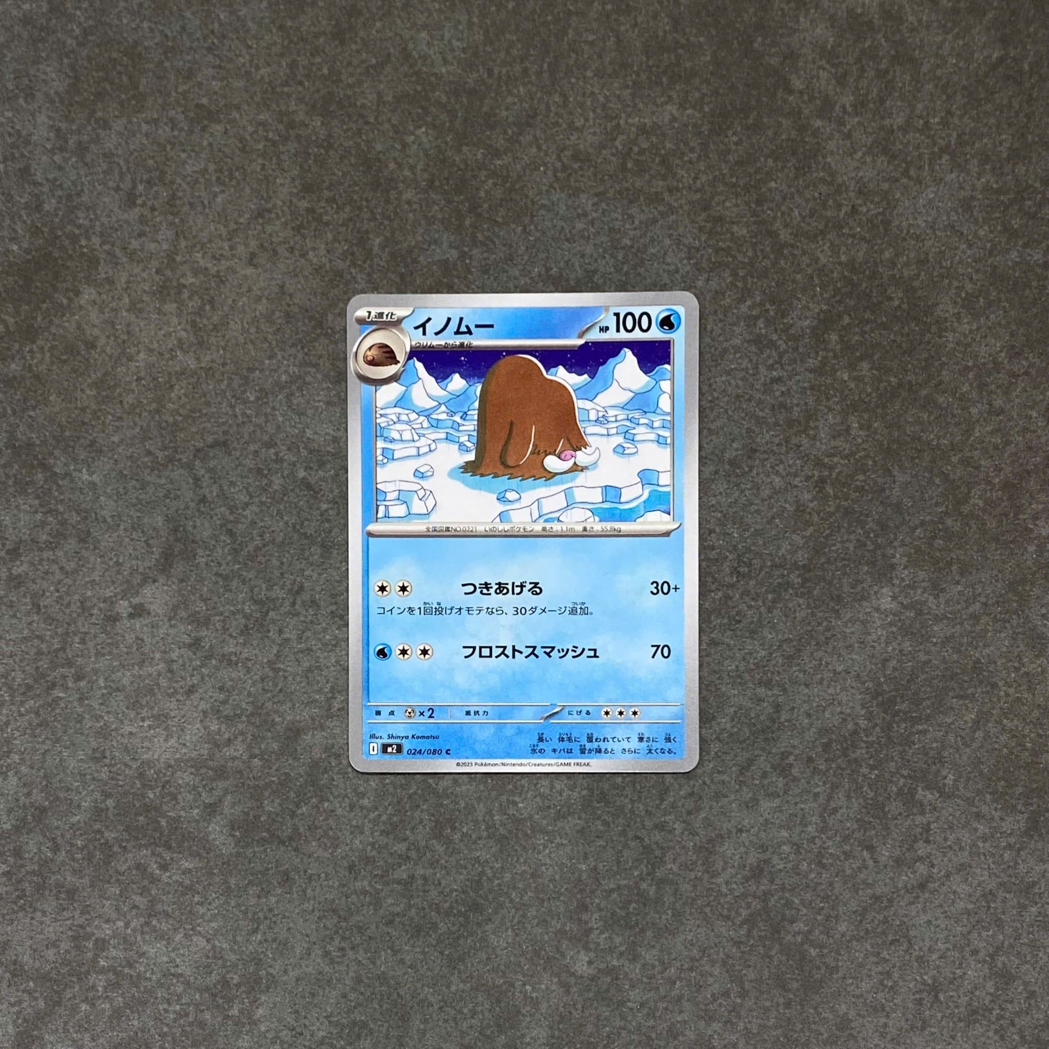  PILOSWINE C 024/080 INFERNO X M2 POKEMON 