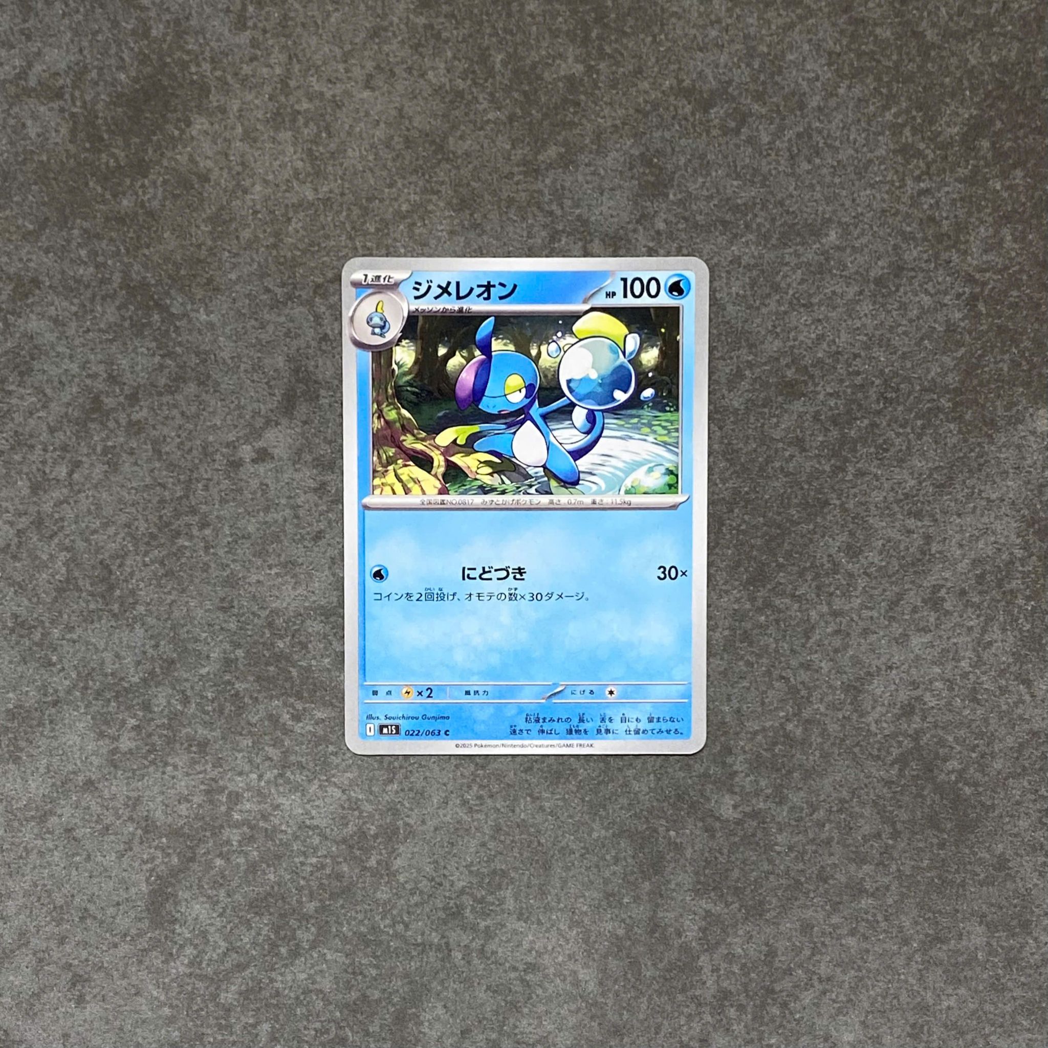  DRIZZILE 022/063 COMMON MEGA SYMPHONIA POKEMON 