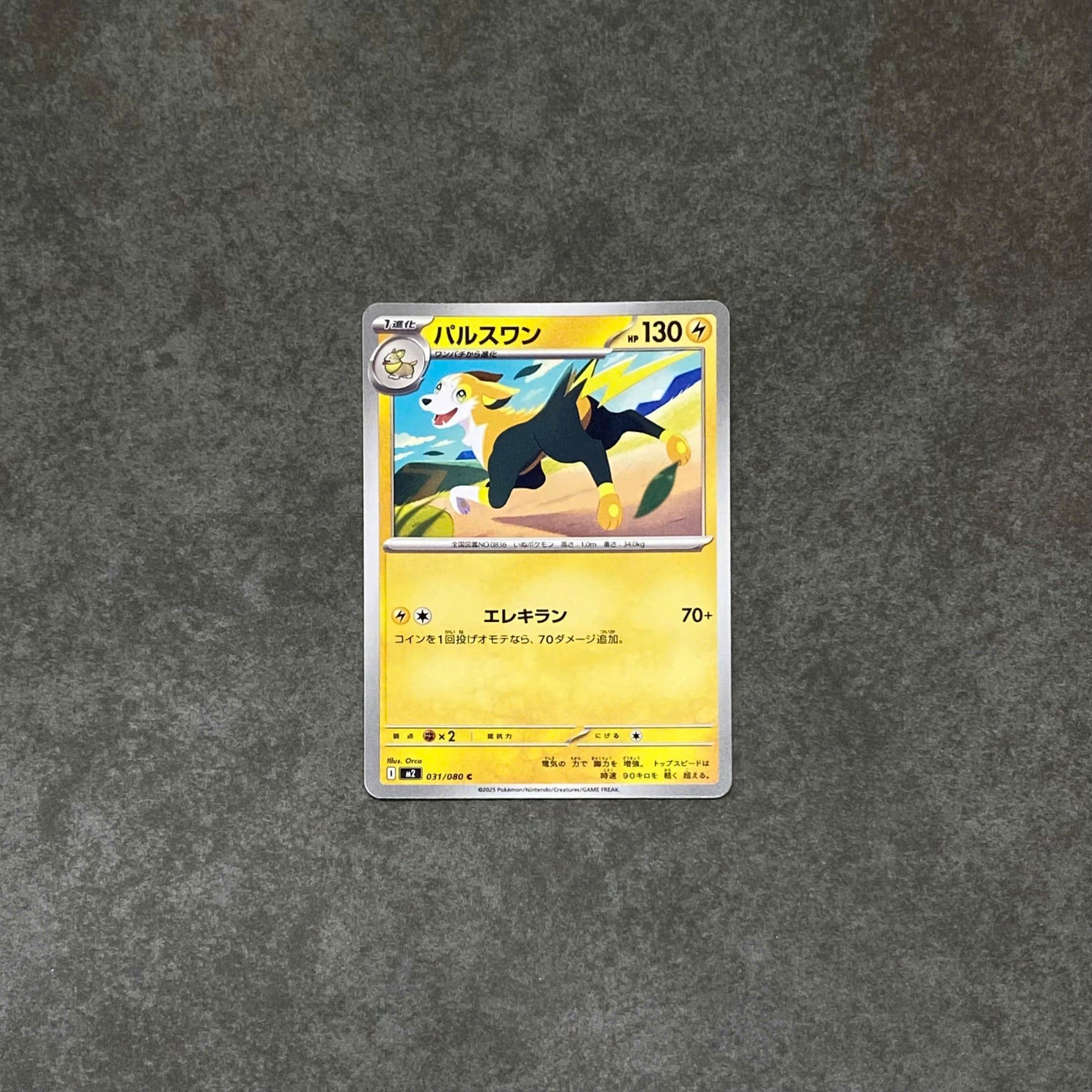  BOLTUND 031/080 M2 INFERNO X POKEMON 
