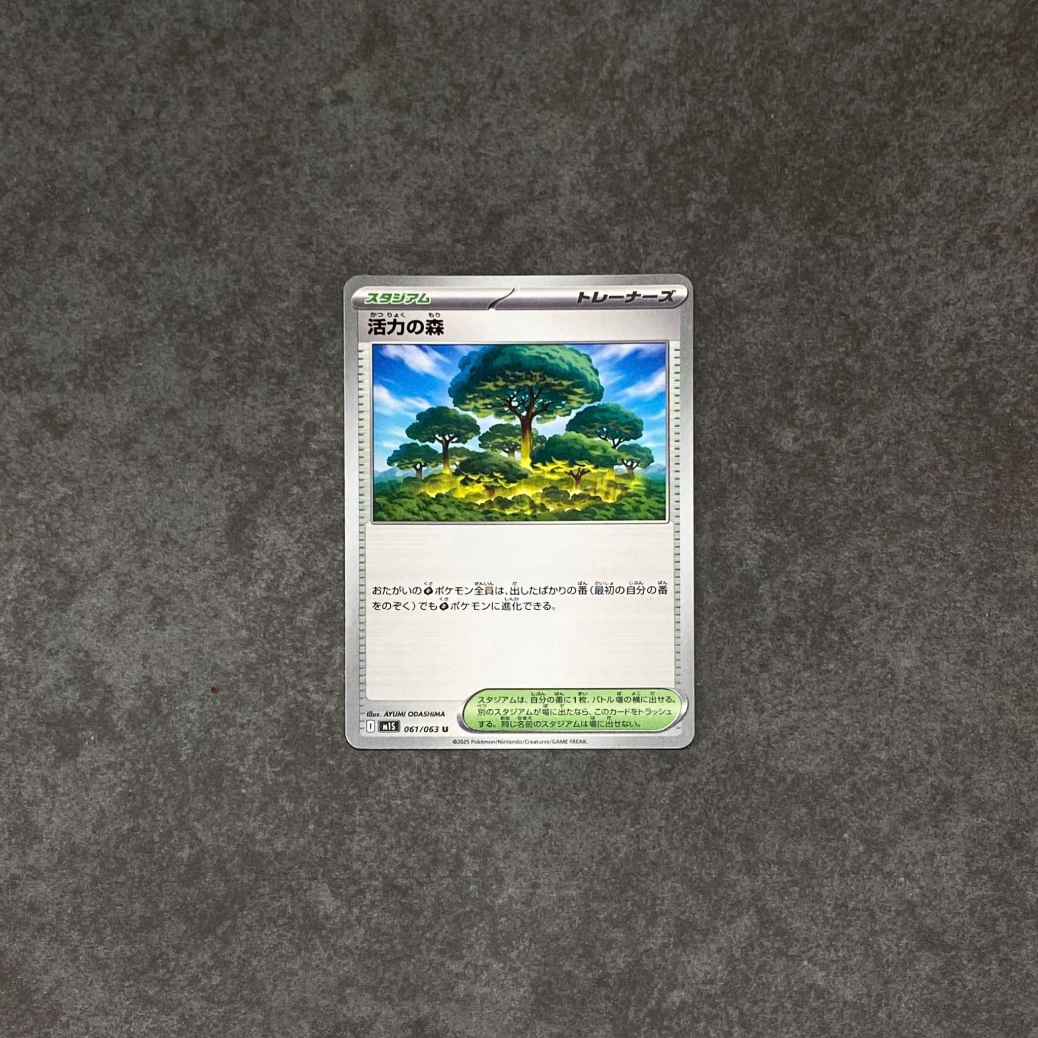  FOREST OF VITALITY 182/193 MEGA DREAM EX POKEMON 