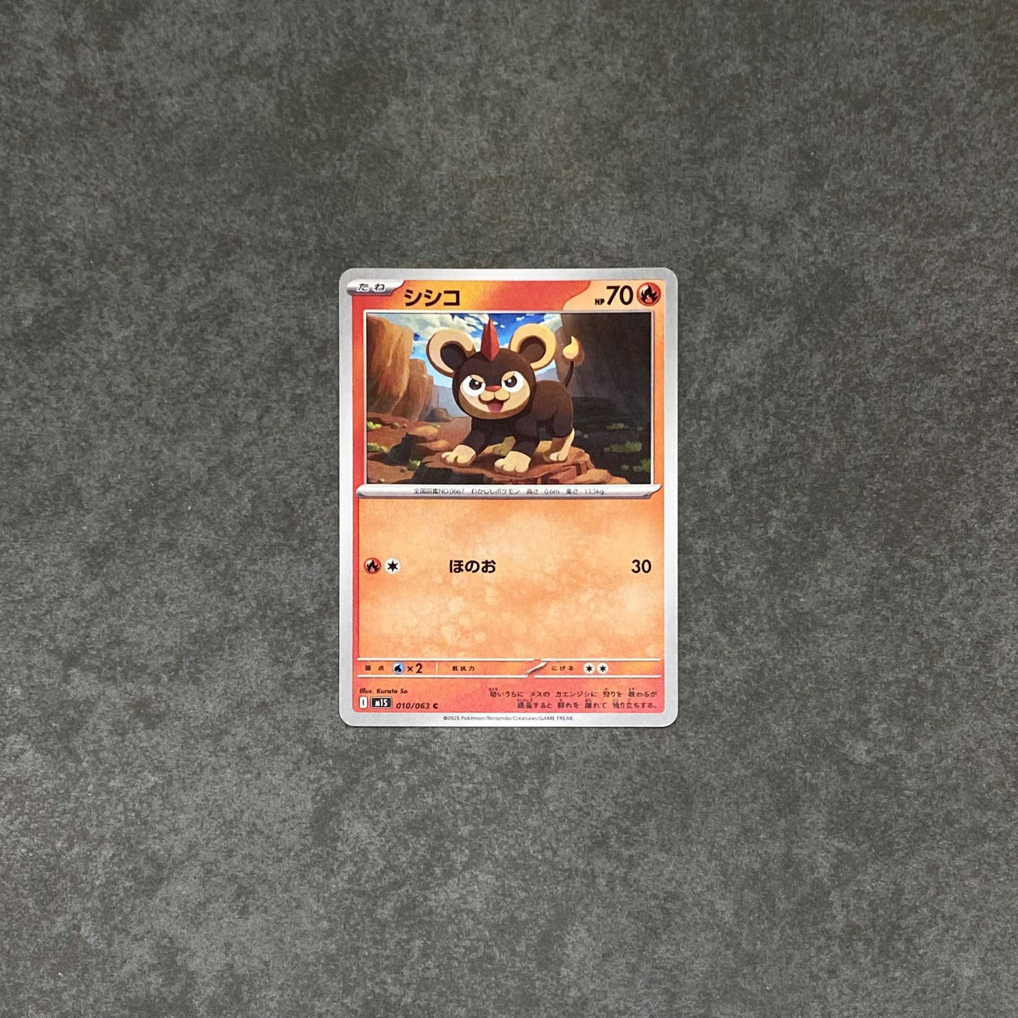  LITLEO #10 MEGA SYMPHONIA POKEMON TCG 