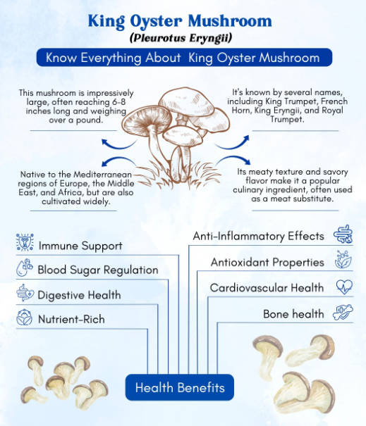 [DỊCH VỤ OEM] Nấm đùi gà sấy tẩm vị - King Oyster Mushroom Jerky