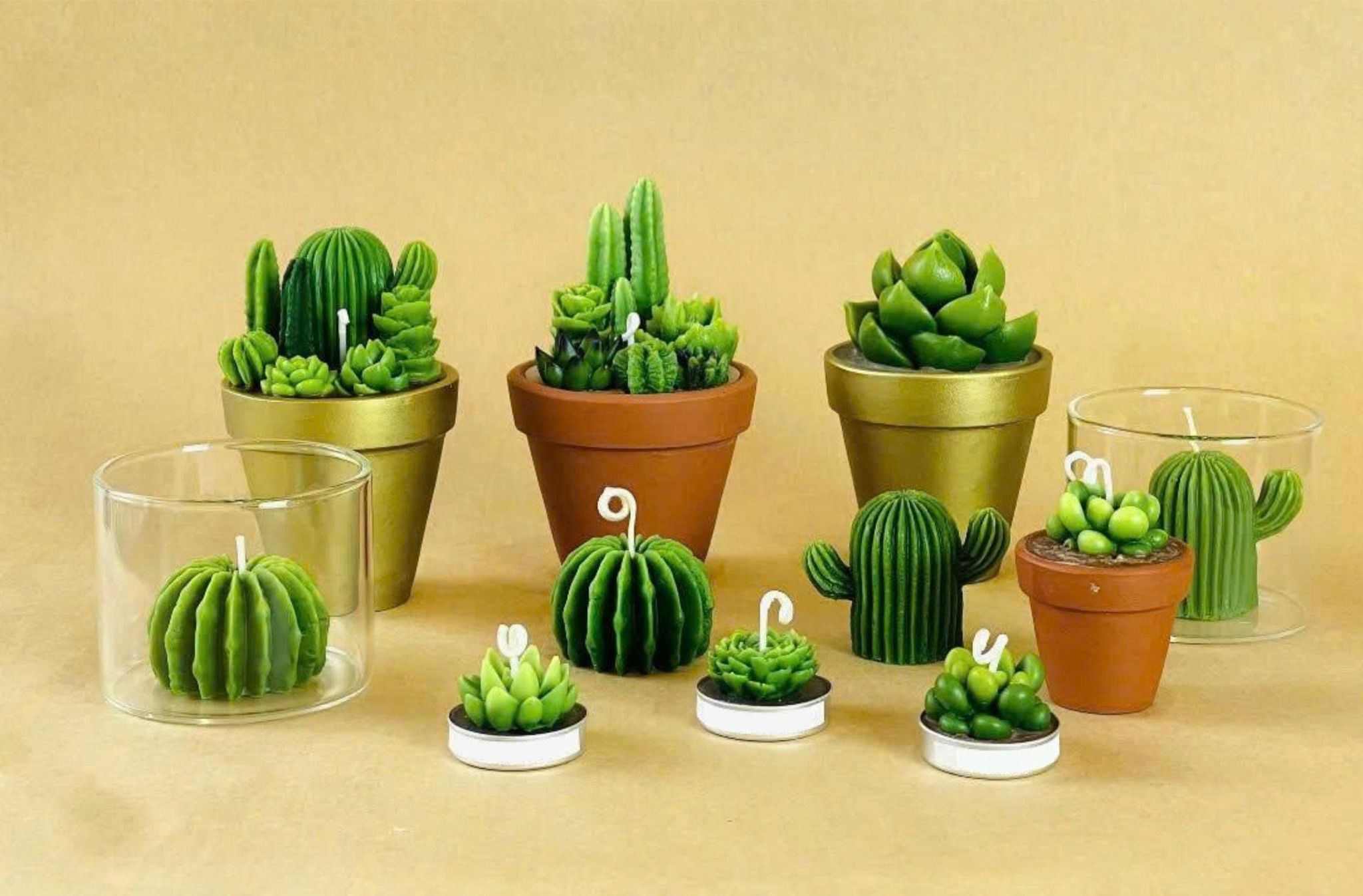  Nến Thơm Sen Đá 