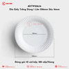 DTW226.16 Dĩa Giấy Trắng Dùng 1 Lần 226mm Sâu 16mm | Khôi Thịnh