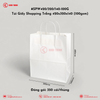 SPW420/320/140-100G Túi Giấy Shopping Trắng 420x320x140 (100gsm) | Khôi Thịnh