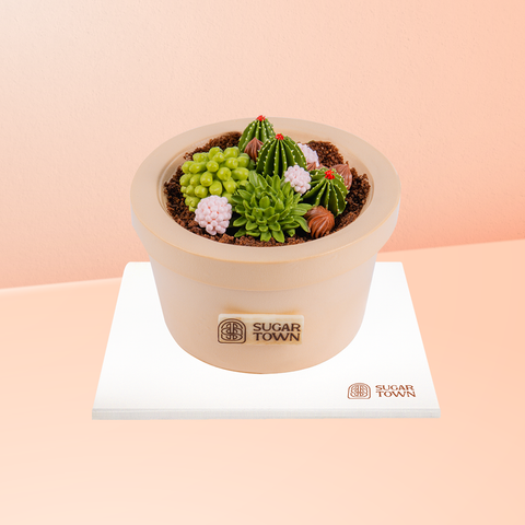 Bánh Kem Hoa Xương Rồng size 12cm