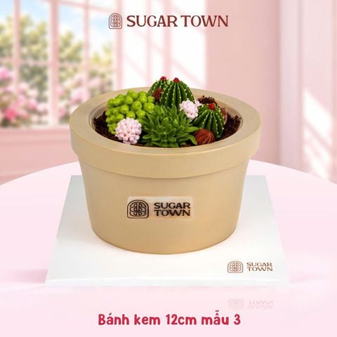  Bánh Kem Hoa Xương Rồng size 12cm 