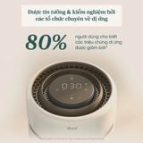  Máy lọc không khí thông minh Levoit Eleva 300X 