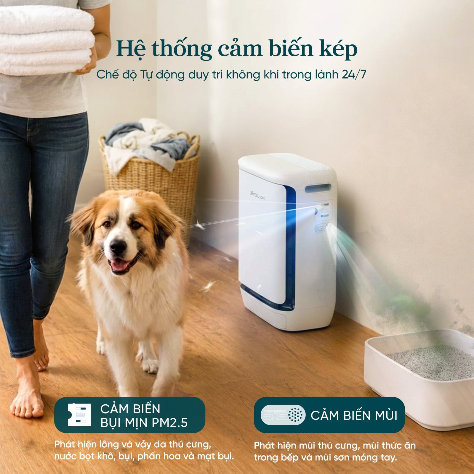  Máy Lọc Không Khí Cho Thú Cưng Levoit Vital Pet Pro 