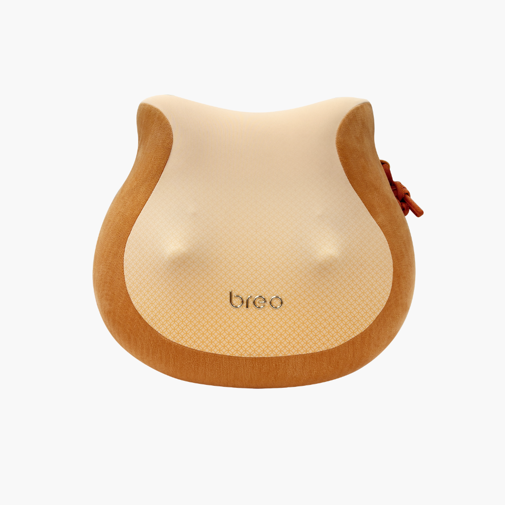  Gối Massage Đa Năng Breo Back 2F 