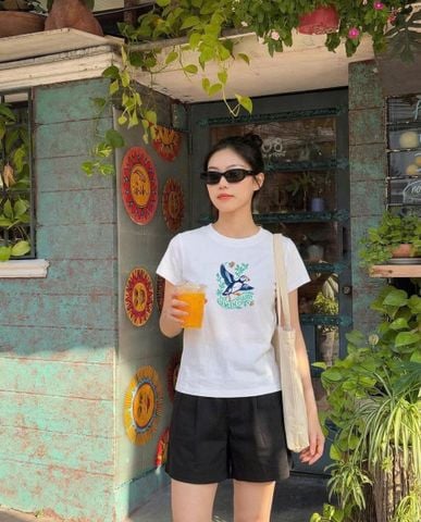  Áo Thun Hải Âu 
