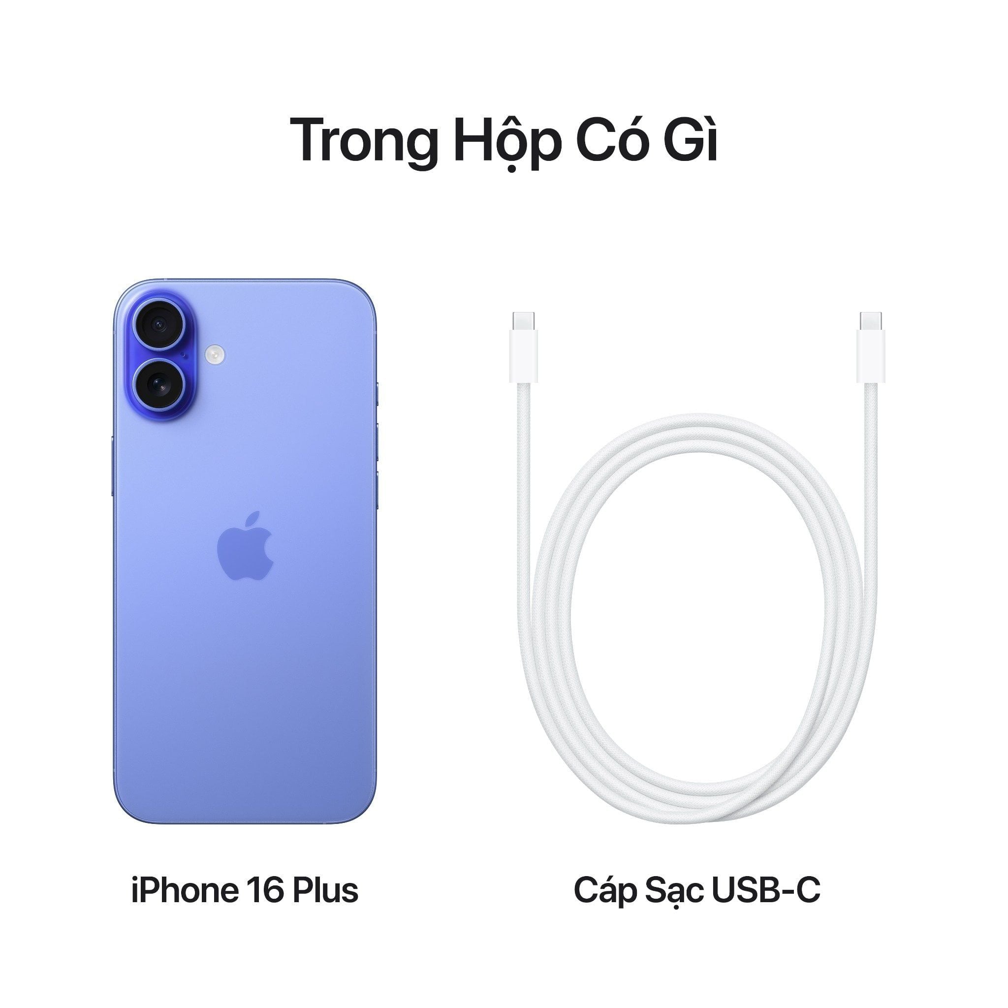  iPhone 16 Plus 