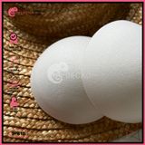  Bộ 2 Mút Đệm Bikini Tròn Áo Bra GECKO 3PK10 