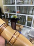  Tre gai mây chân sừng hoẵng 