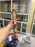  Tre gai mộc vip 