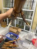  Tre gai mây chân sừng hoẵng 