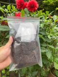  Thuốc lào thượng hạnh 