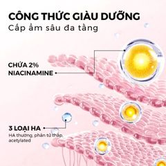 PHẤN NƯỚC RODIAN GLOW FIT CUSHION CHE PHỦ HOÀN HẢO, MỎNG NHẸ VÀ CHỐNG NẮNG SPF50+/PA++++