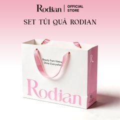 Túi Quà Tặng Rodian kích thước 26x32,7x11,5
