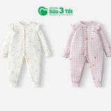 Bộ Body Cúc giữa Cánh Tiên Harvest Hoa Nhí -Chaang