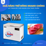  Tủ Trữ Đông Âm Sâu Cá Ngừ, Dung Tích 200L, Nhiệt Độ -50°C LASSELE LOC-251F 