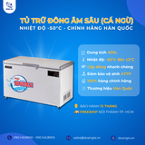  Tủ Trữ Đông Âm Sâu (Cá Ngừ), Dung Tích 400L, Âm 50°C LASSELE LOC-521F 