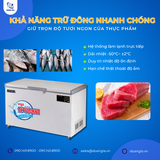  Tủ Trữ Đông Âm Sâu (Cá Ngừ), Dung Tích 400L, Âm 50°C LASSELE LOC-521F 