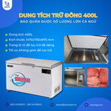  Tủ Trữ Đông Âm Sâu (Cá Ngừ), Dung Tích 400L, Âm 50°C LASSELE LOC-521F 