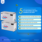  Tủ Trữ Đông Âm Sâu (Cá Ngừ), Dung Tích 400L, Âm 50°C LASSELE LOC-521F 