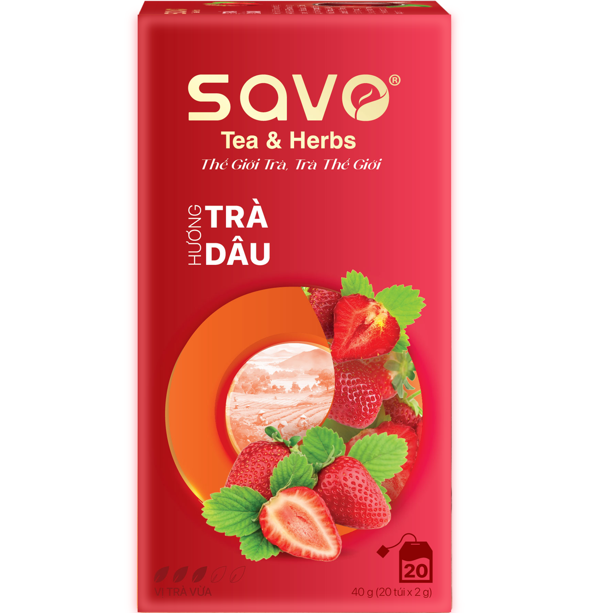  SAVO Dâu (Hộp 20) 
