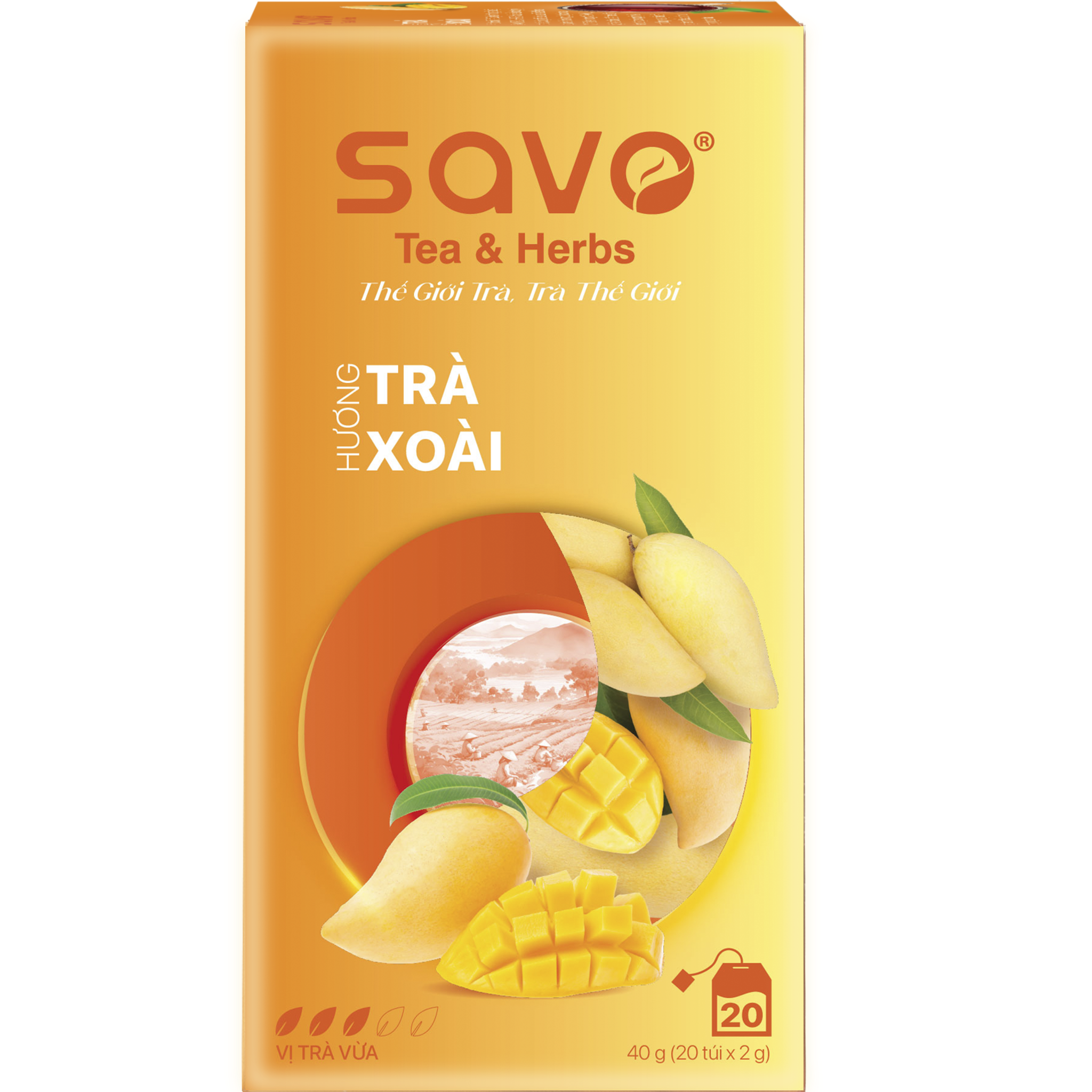  SAVO Xoài (Hộp 20) 