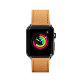  Dây Đeo Apple Watch Laut Milano (42/44/45mm) 