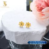  Bông tai nữ Titan SST mặt hoa cúc vàng có nhụy tráng gương Không Đen Gỉ BT127 