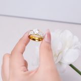  Nhẫn Titan SST Đính full đá sang trọng đi tiệc Không Đen Gỉ N223V 