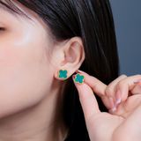  Hoa tai Cỏ 4 Lá Nhiều Màu Titan Không đen gỉ BT20 