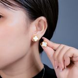  Hoa tai Cỏ 4 Lá Nhiều Màu Titan Không đen gỉ BT20 