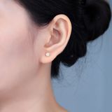  Bông tai Unisex Titan SST Nụ đá tròn nhỏ Không Đen Gỉ BT197 