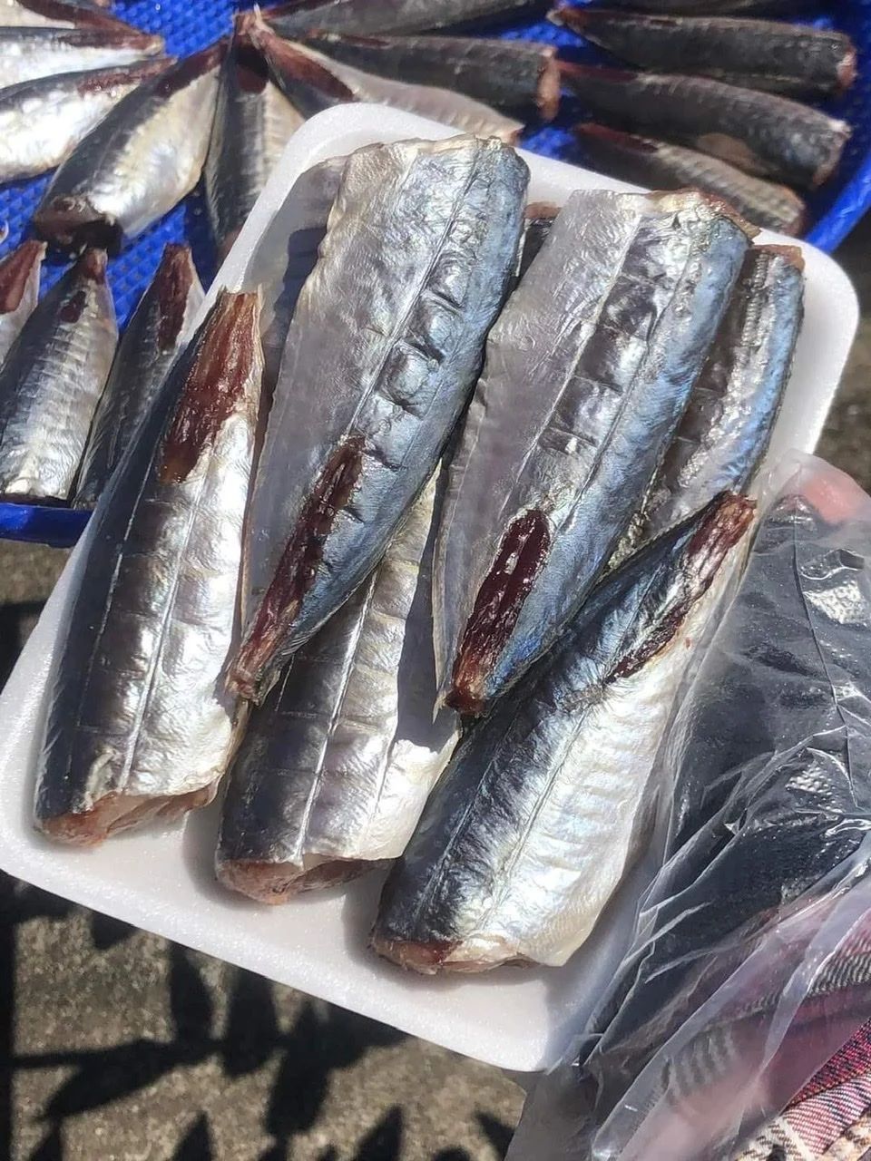 ca nuc 1 nang 500gr
