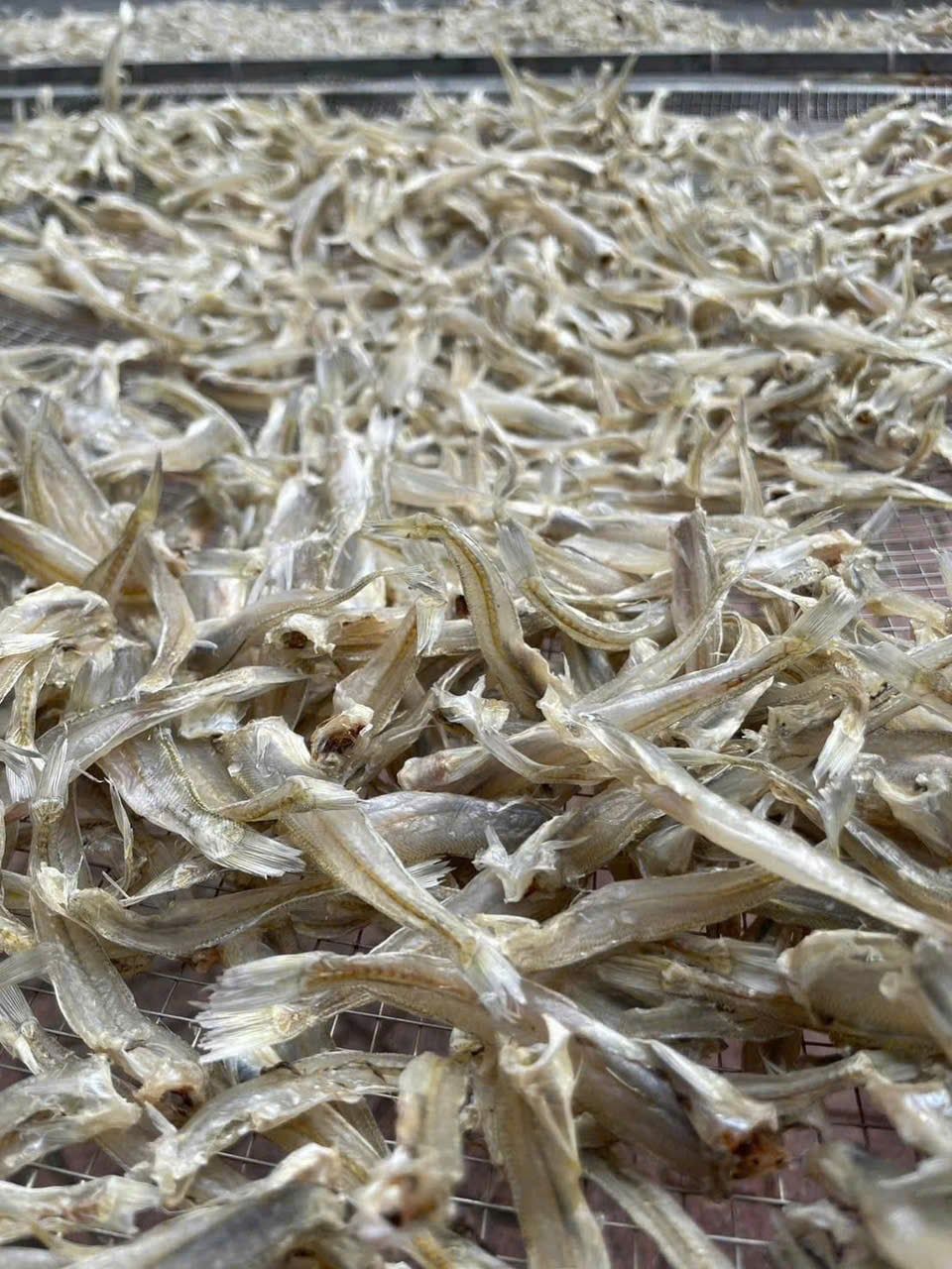 ca duc kho 500gr