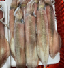 muc ong cap dong 500gr khay